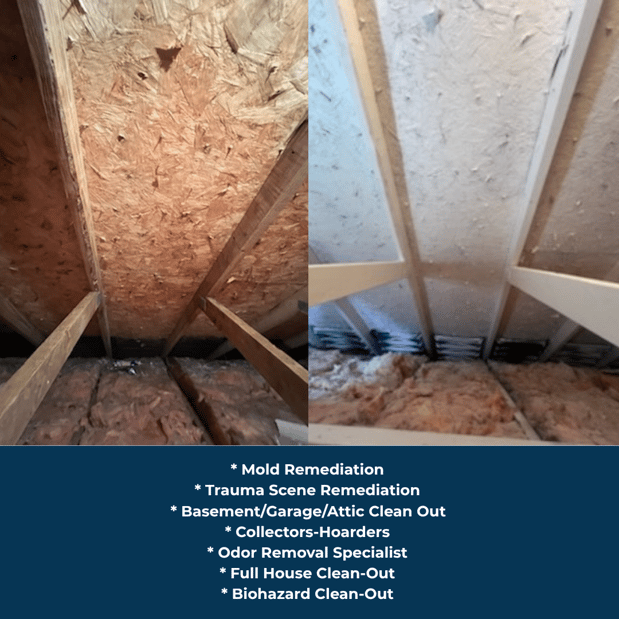 Images Quality Mold Remediation LLC