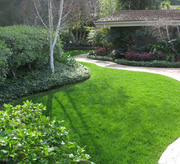 Images Grass Doctor Landscape Inc