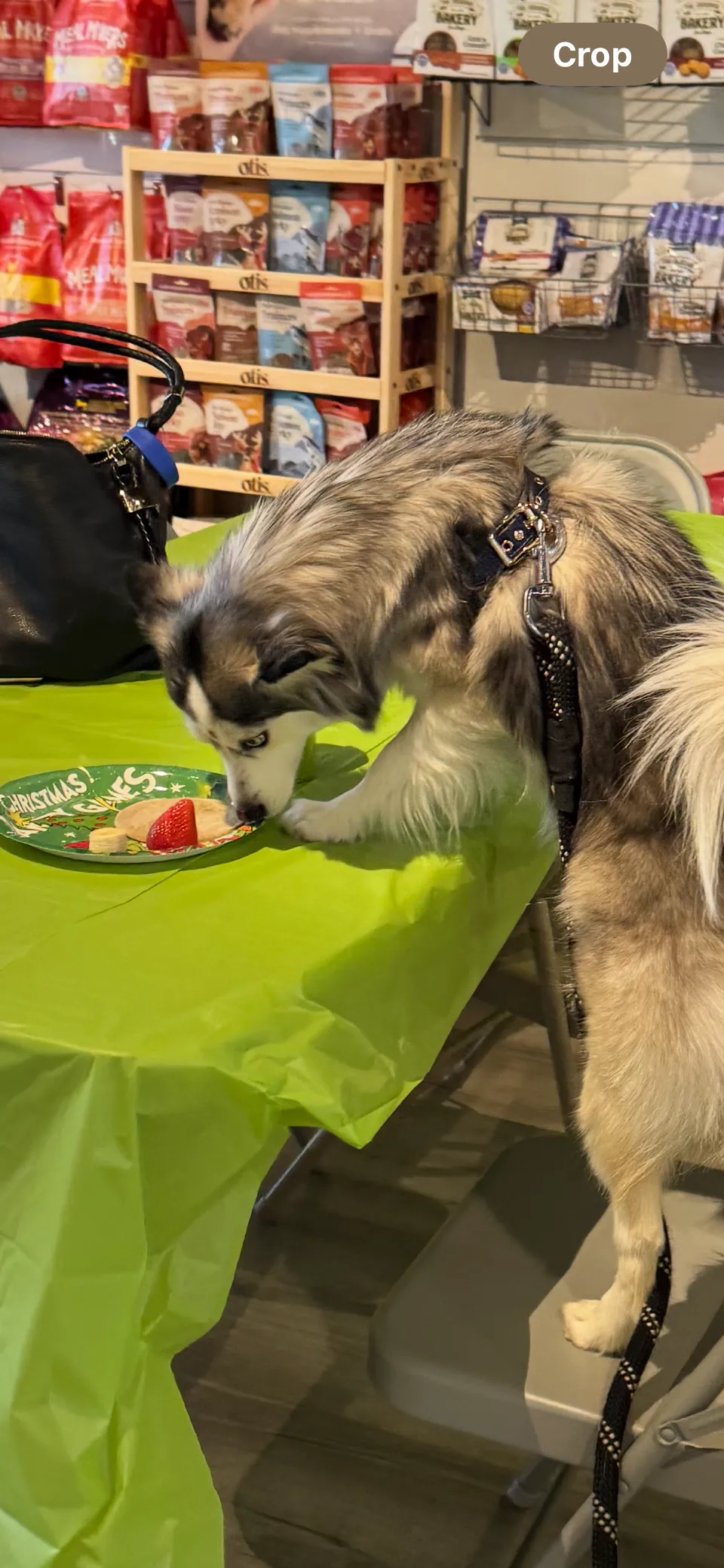 Image of Local Pet Event CAFE EVENT: Grinch Breakfast w/Pictures Nearby