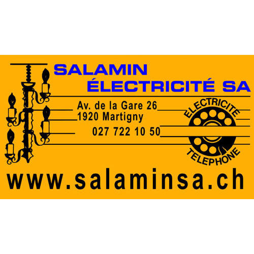 Salamin Electricité SA Logo