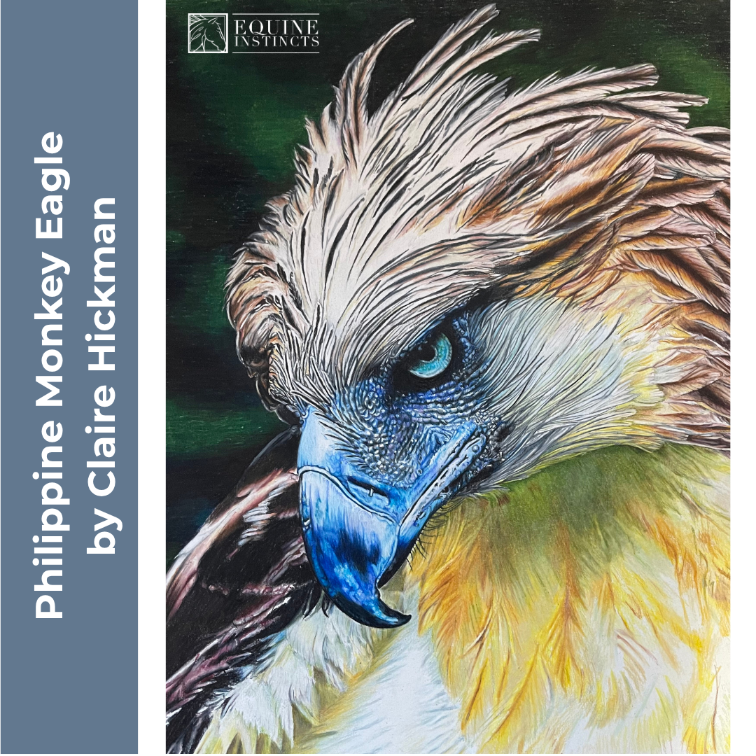 Claire Hickman Artist