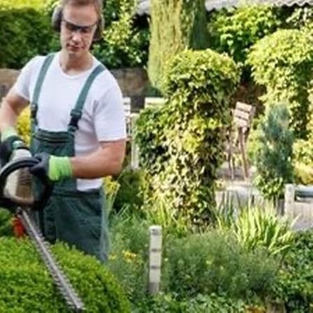 Bilder Gemeinschaftsbüro Hilfe-ist-da und Hausmeisterdienst-pflegeleicht