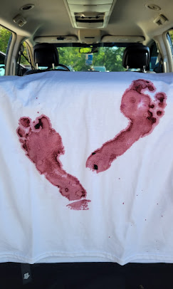 Images Hidden Hills Vineyard and Winery