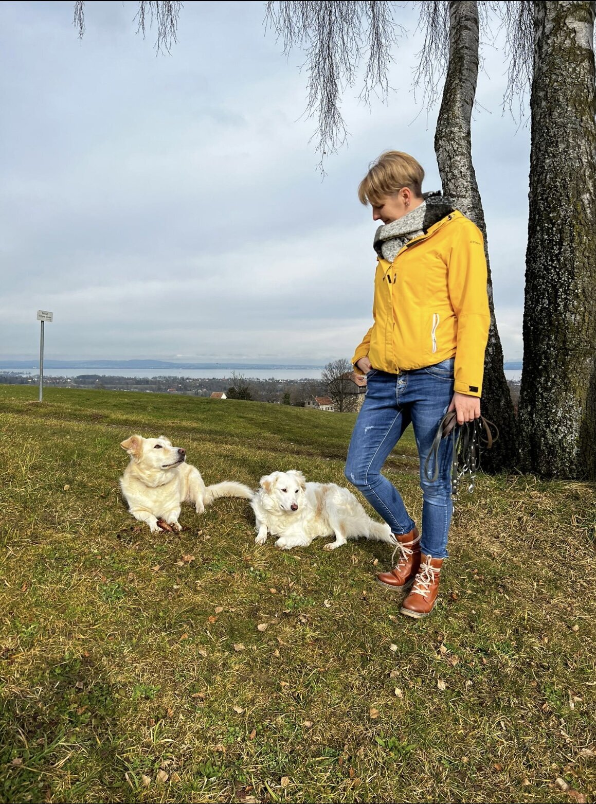Bilder A-Z-Hundetraining