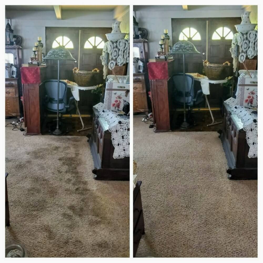 Before and after carpet cleaning in Pomona