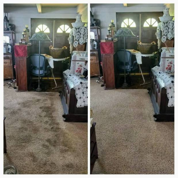 Images Immaculate Home Chem-Dry