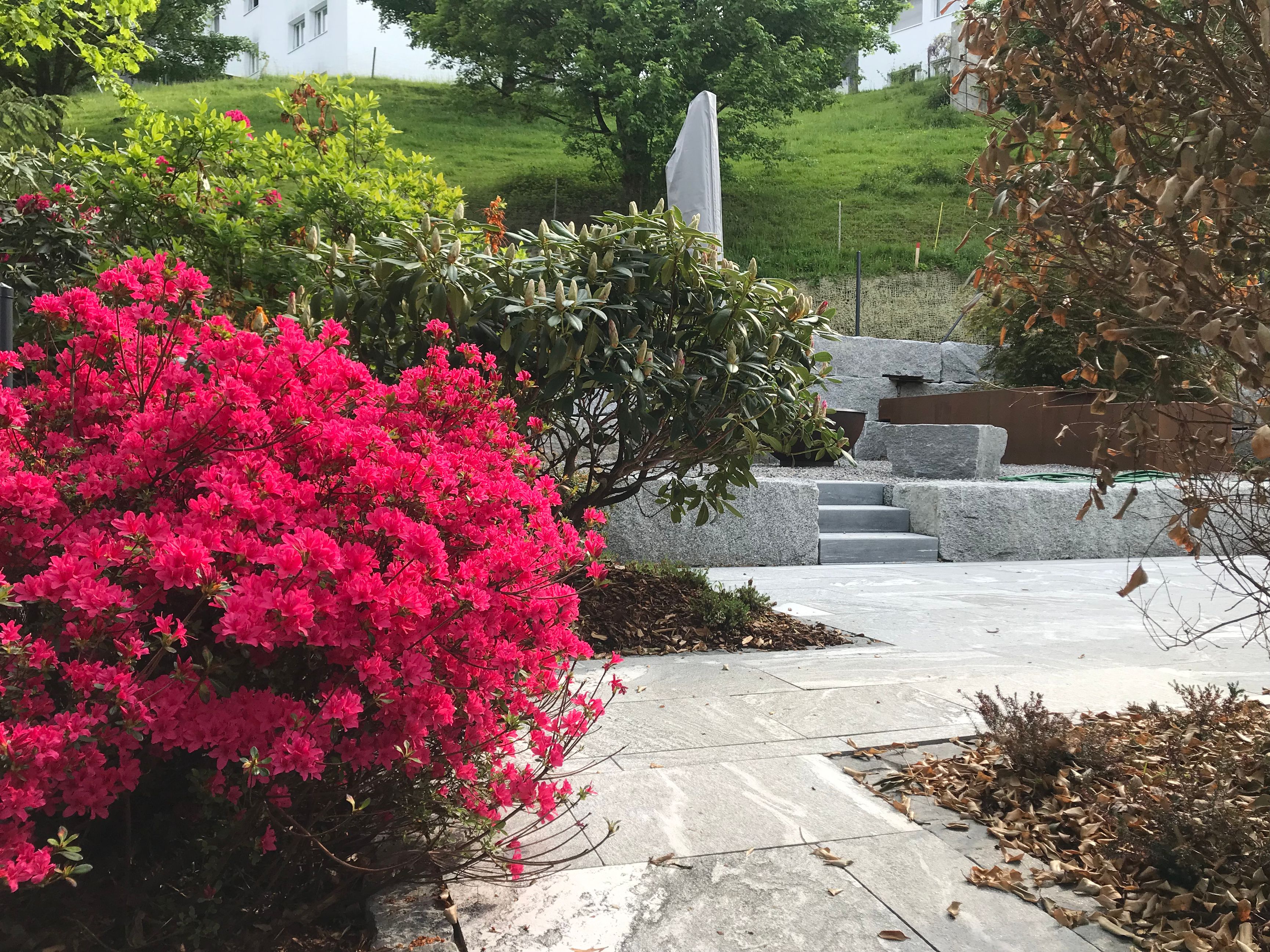 Bilder Hofstetter Gartenbau GmbH