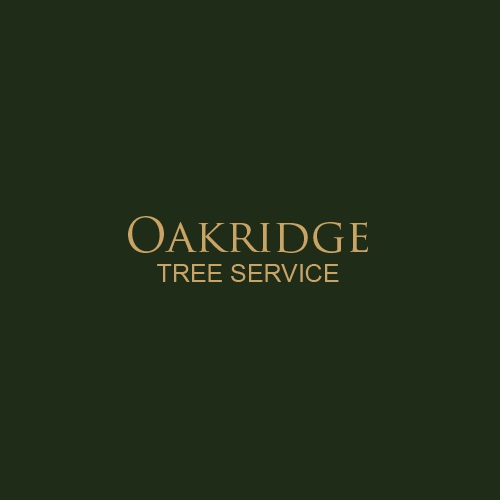 Oakridge Tree Service, LLC Logo
