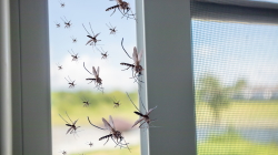 Christen Rolladen AG, Industriestrasse 1 in Dielsdorf