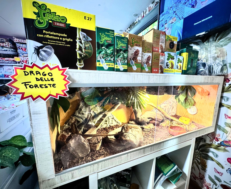 Images L'Arca di Gio'