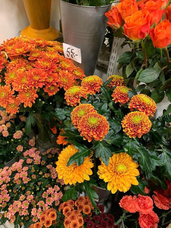 Images Heby Blomsterhandel & Begravningsbyrå