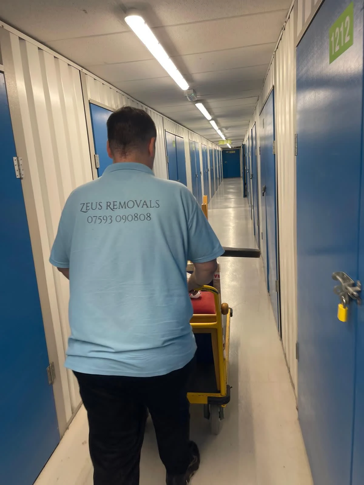 Images Zeus Removals