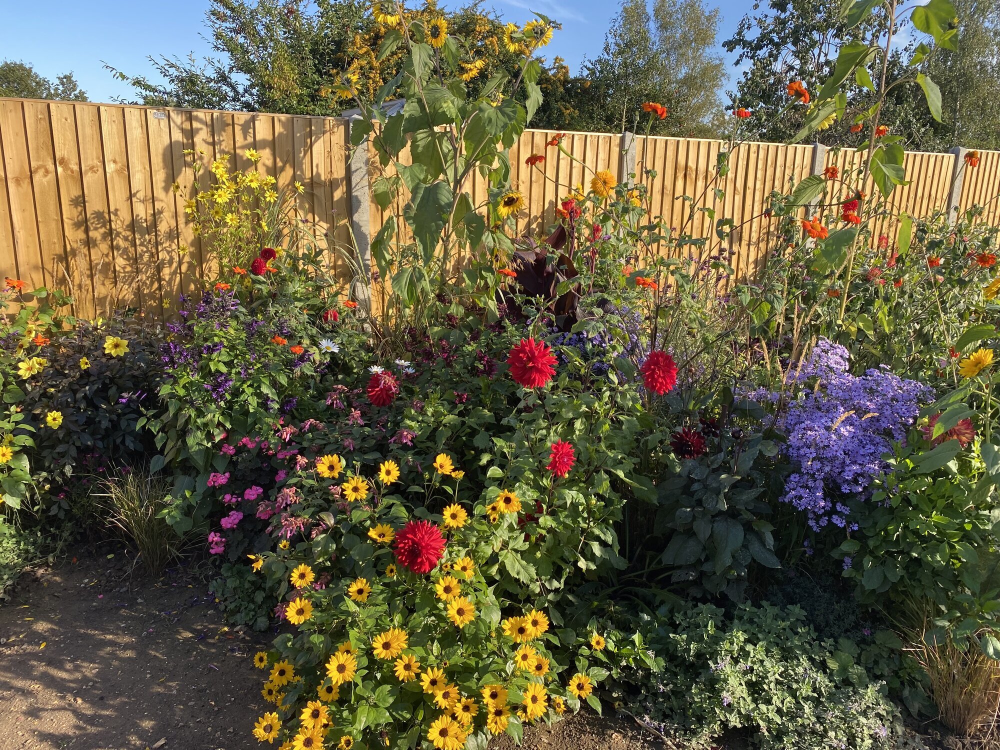 Images Steve Dean Gardening