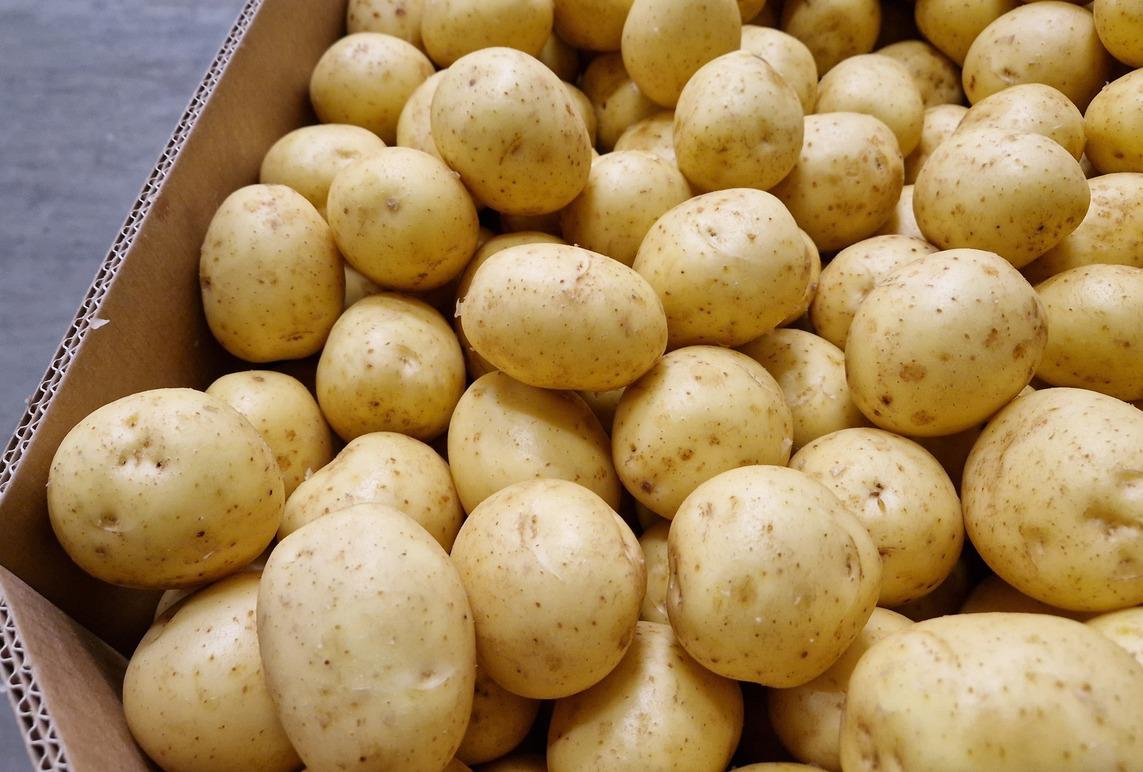 Images Gränsbo Potatis AB