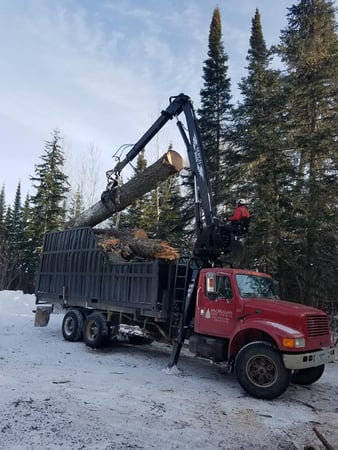 Images McMillan Tree Service
