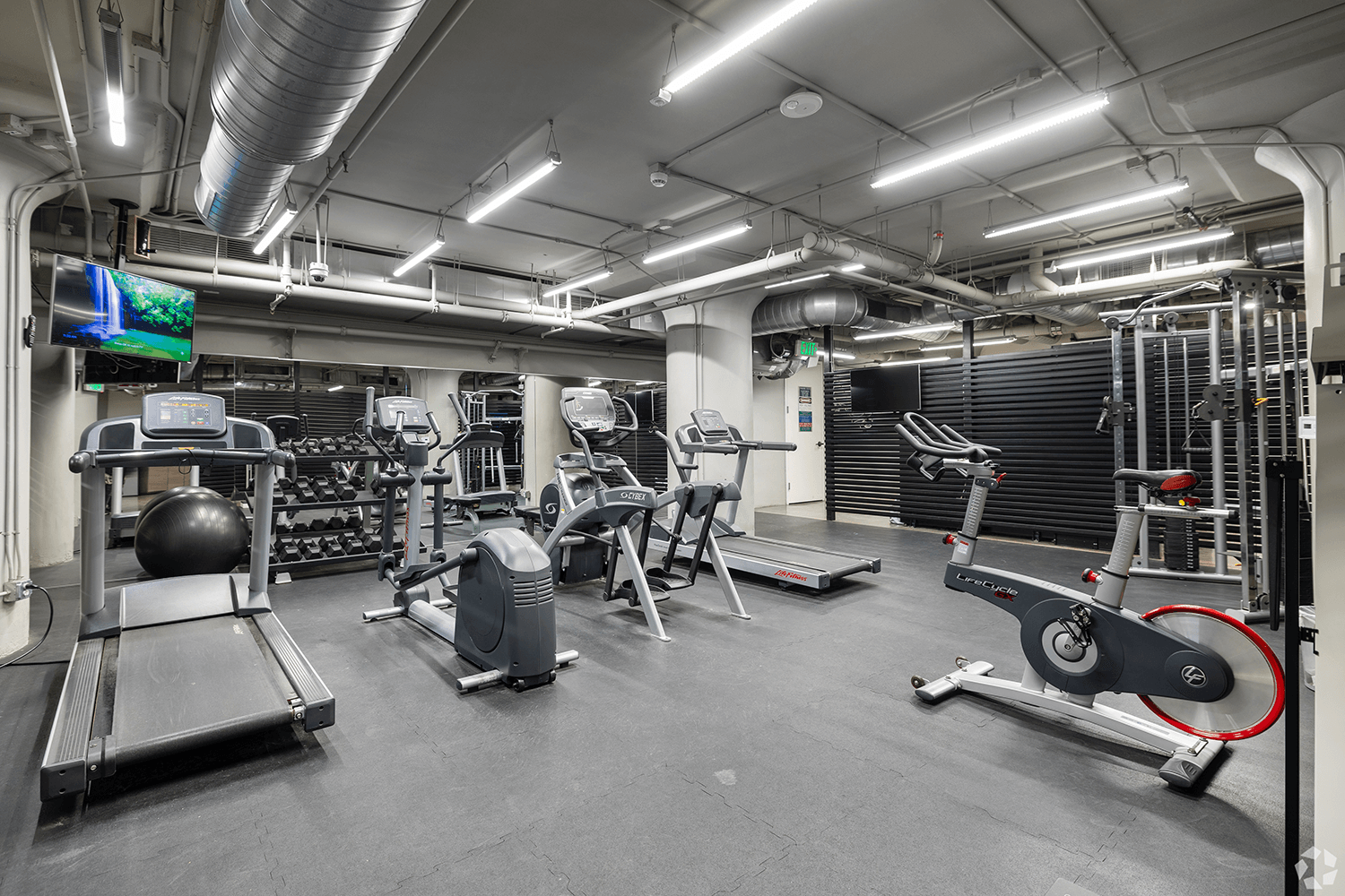 Gym Area