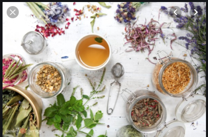 Images Foundations Family Medicine | Functional Medicine