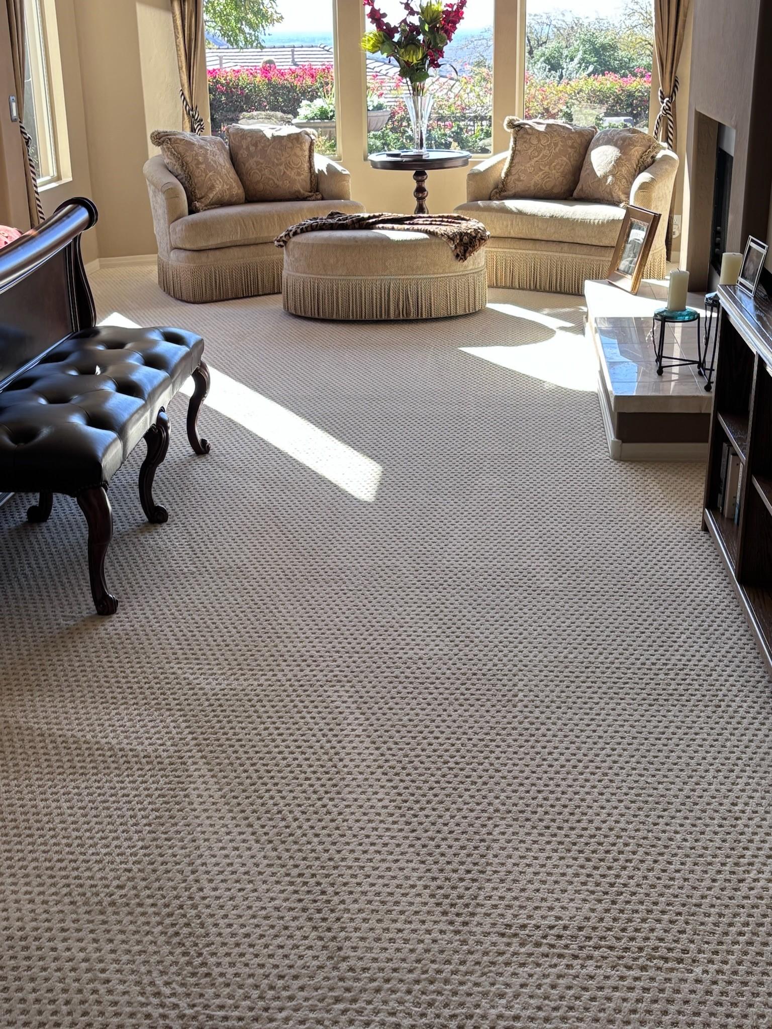 Scottsdale carpet cleaning company