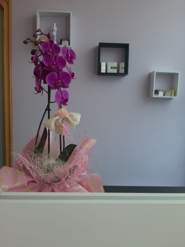 Images Estetica Infinity Nails & Beauty