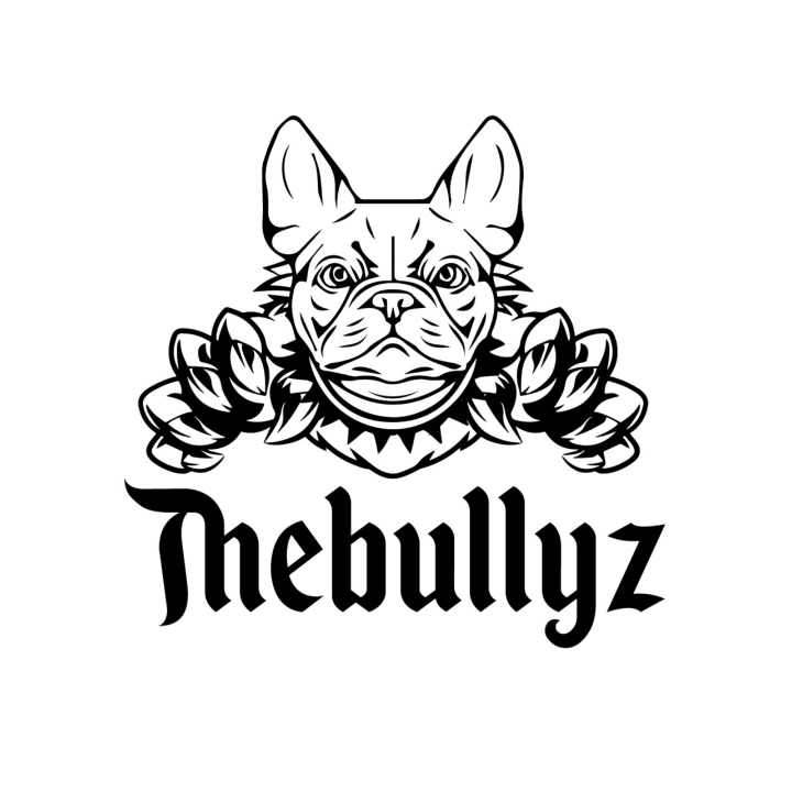 Logo TheBullyz