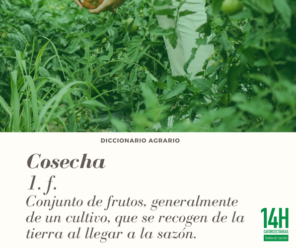 Images Catorcectáreas