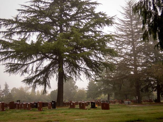 Images Mt Pleasant Cemetery