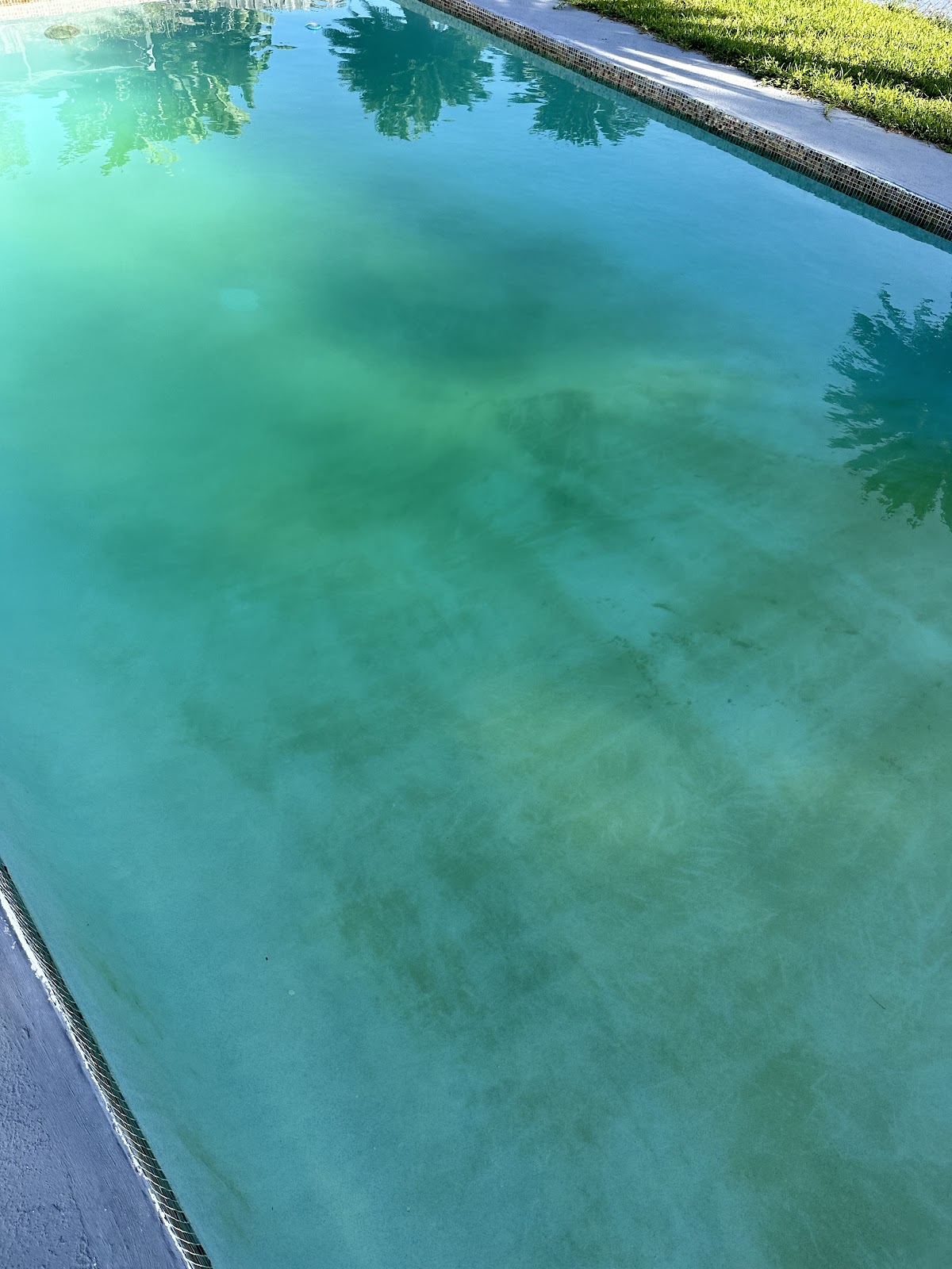 Swimming pool with green, cloudy water indicating algae growth or poor water quality.