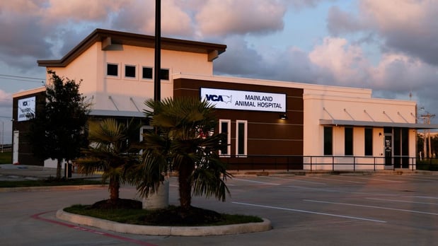 Images VCA Mainland Animal Hospital