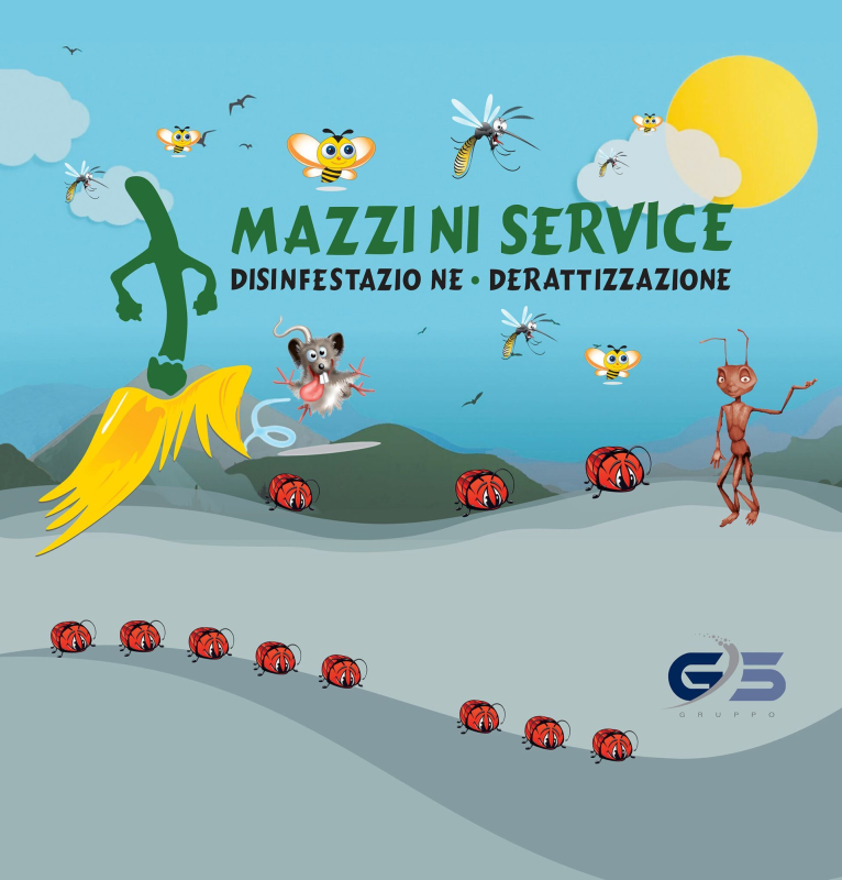 Images Mazzini Service