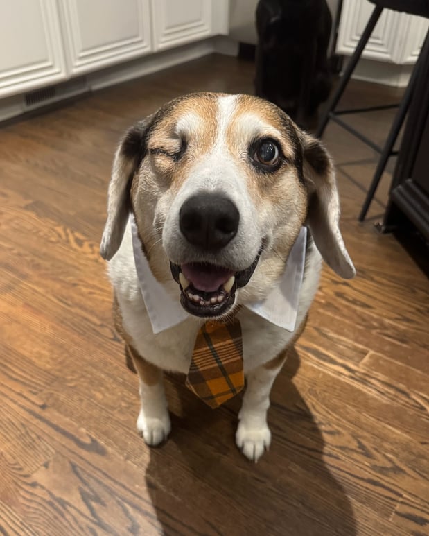 Images Melanie Stone - State Farm Insurance Agent