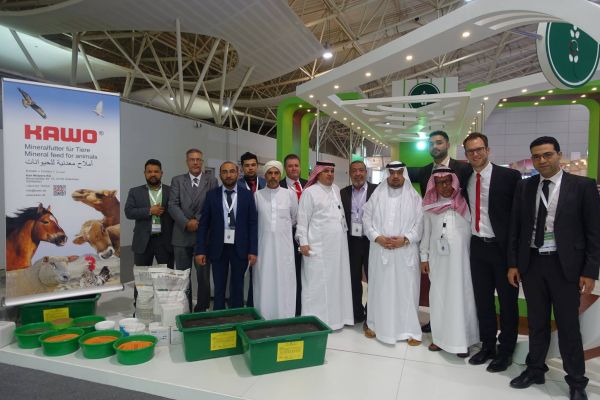 KAWO - Karl Wolpers KG, Bavenstedter Strasse 73 in Hildesheim