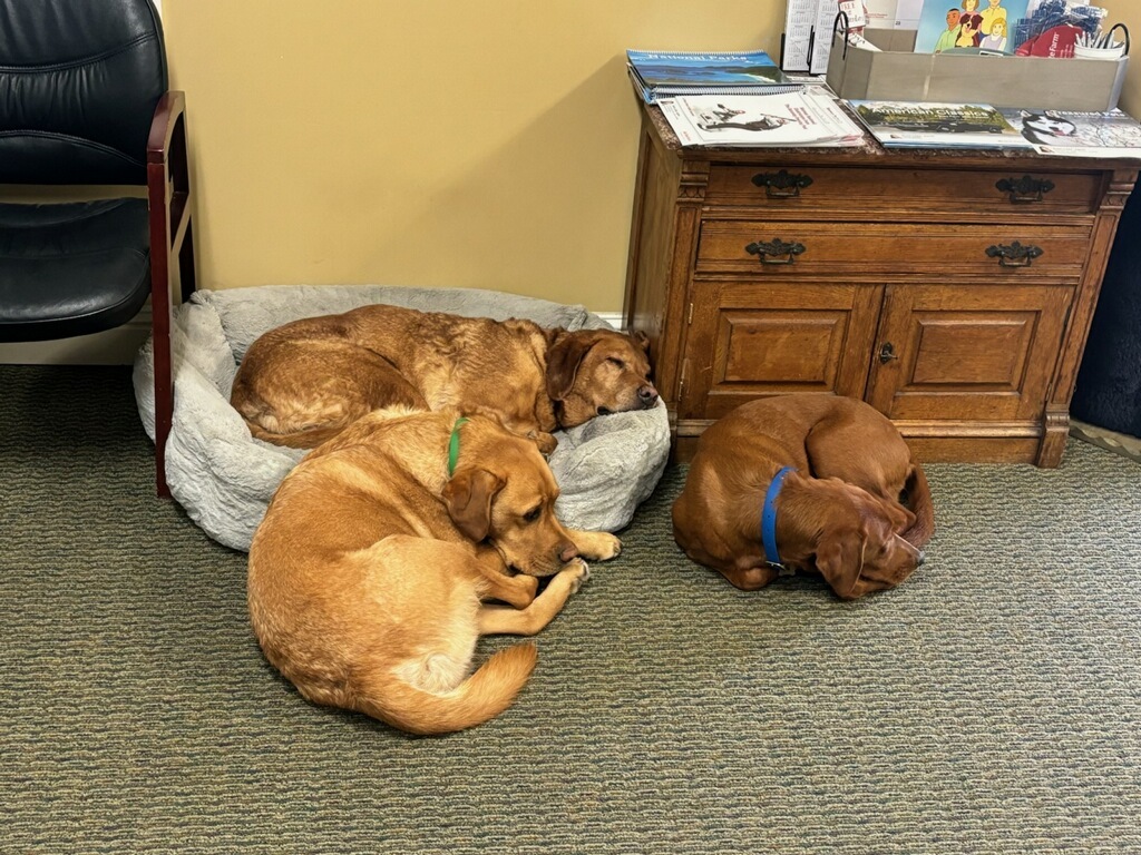 Our 3 little cuties!