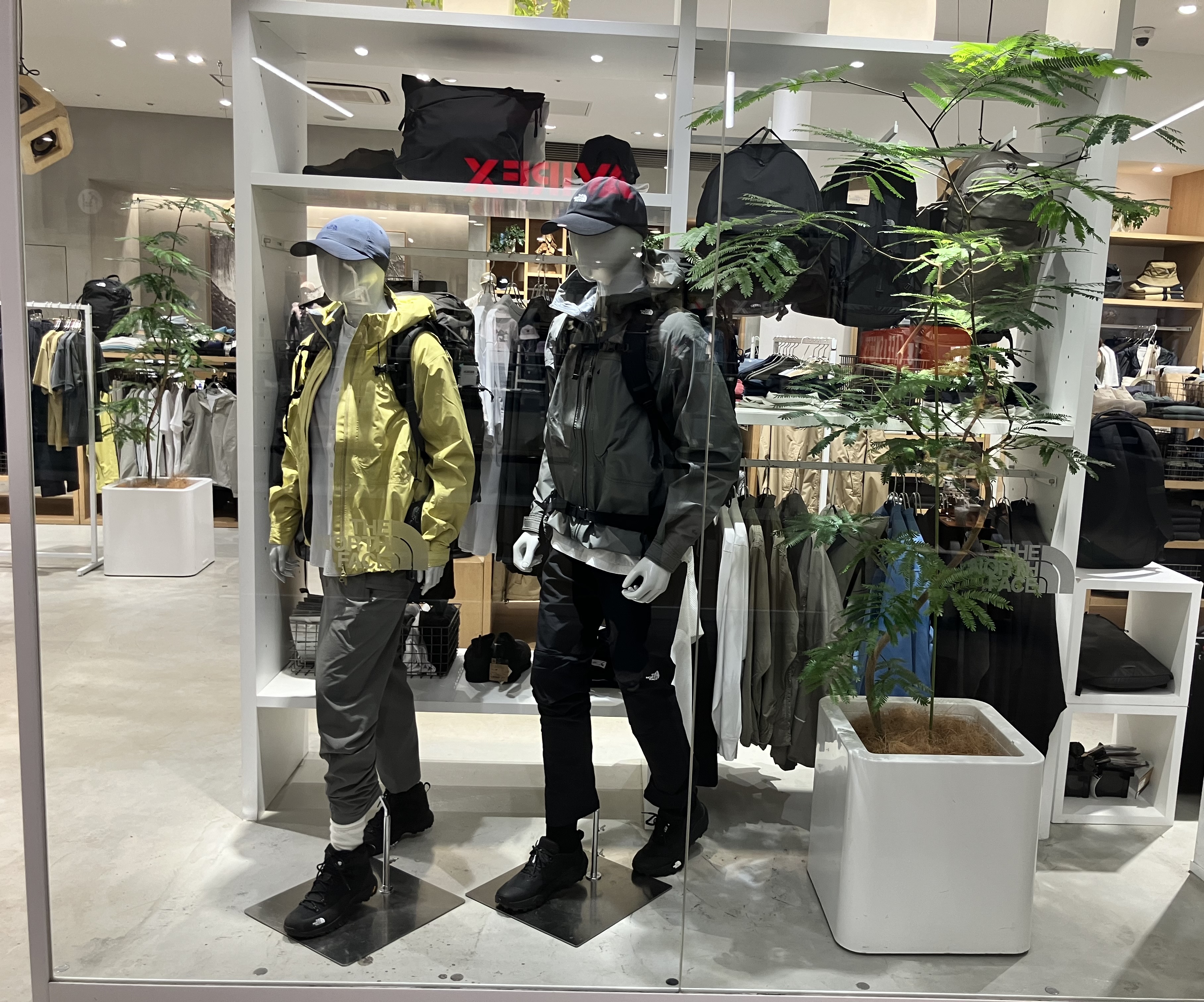 Images THE NORTH FACE (ザ・ノース・フェイス) ららぽーと立川立飛