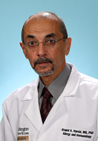 Khaled Abdel-Hamid