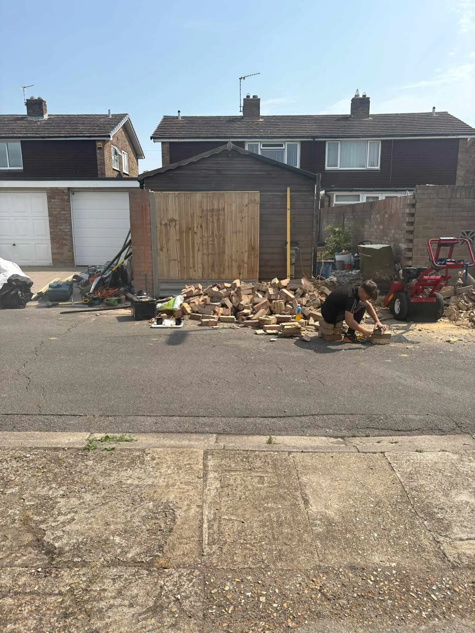 Images Arborist Tree Surgeons