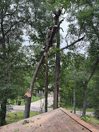Texas Timber Tree Service Image
