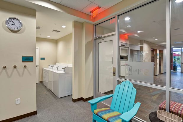 Images Home2 Suites by Hilton Tampa USF Near Busch Gardens