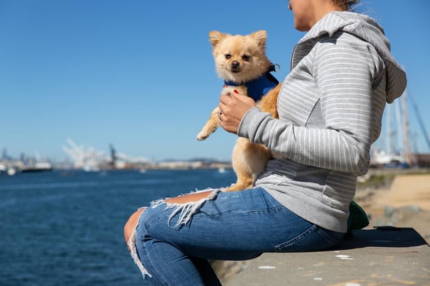 Images Channel House