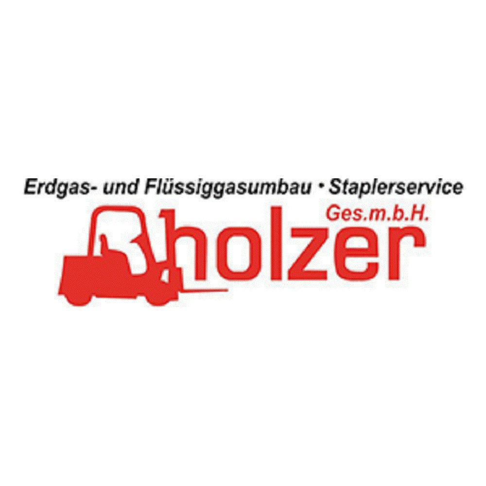 Holzer GesmbH Logo