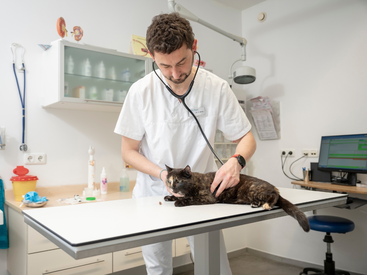 Bilder Tierarzt Limeshain, Kleintierzentrum Kilb&Team