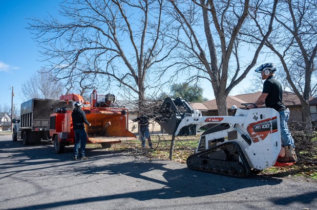 Images CBM Tree Services LLC