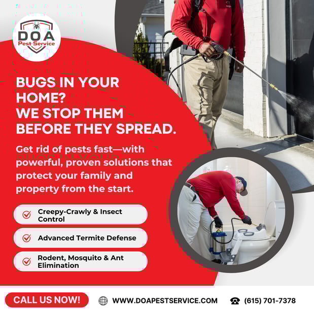 Images Nashville Pest Control - DOA Pest Service