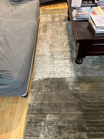 Images Zest Carpet Cleaning
