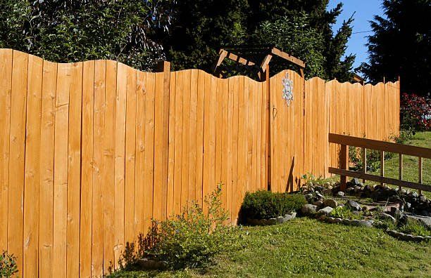 Images Steve's Lawncare and Construction