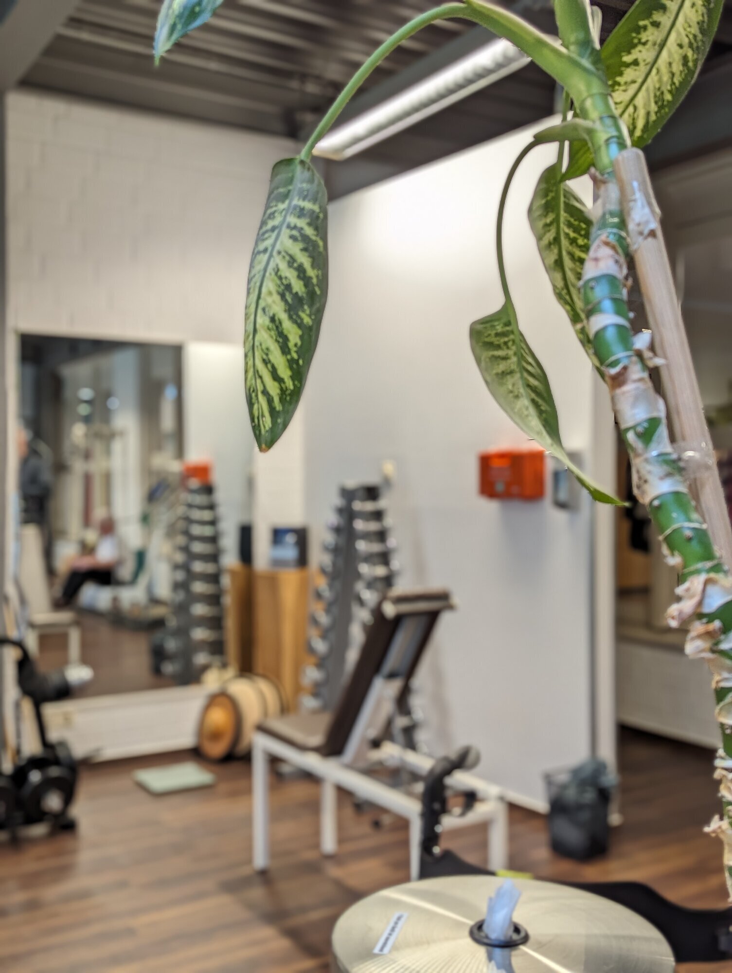 Bilder aqua vitalis Physiotherapie Schwimmschule Fitness & Entspannung