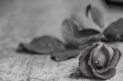 Oliver Reilly Funeral Director Ltd (Sallins) 8