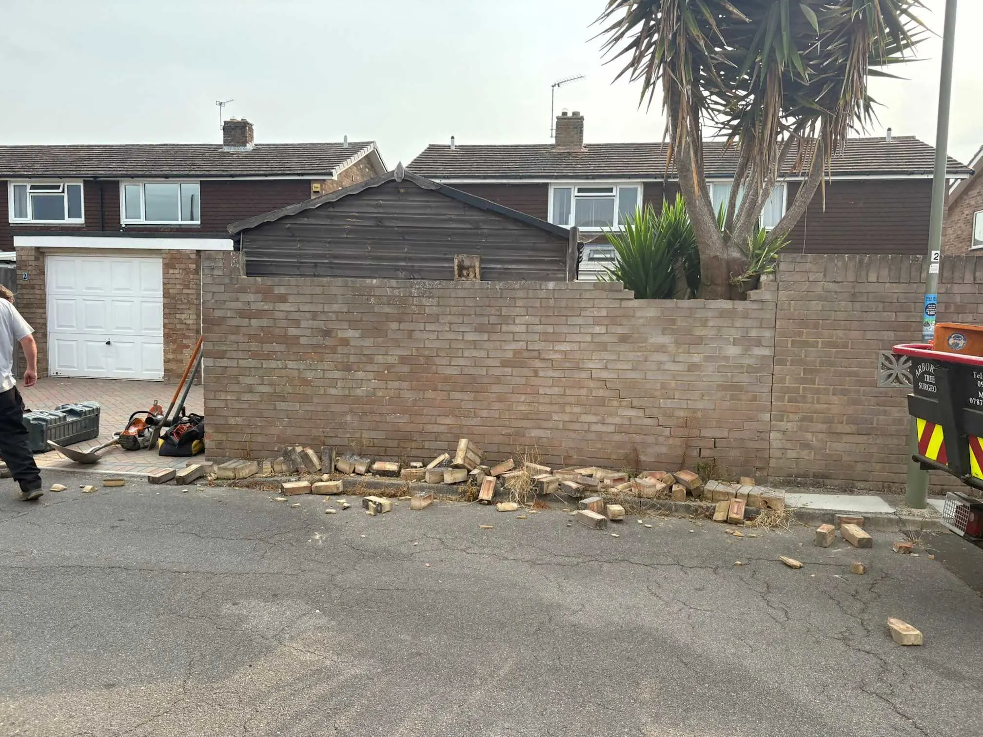 Images Arborist Tree Surgeons
