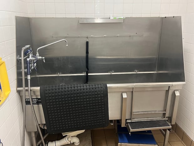 Images Petco Grooming
