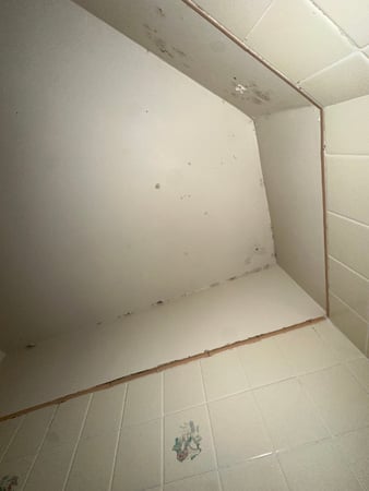Images 24H Mold Inspection of Mission Viejo