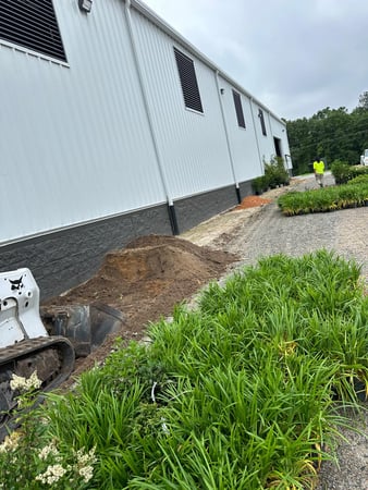 Images Juan Mata Lawn Care Services